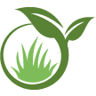 Yuba City Lawn Clean Up