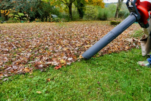 Cost of Leaf Vacuuming Service in Yuba City