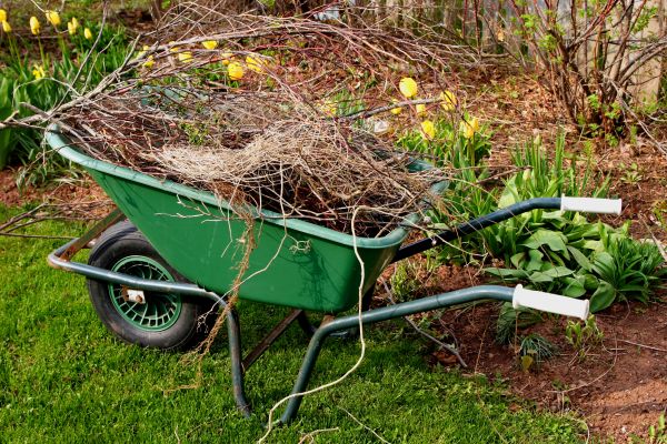 Cost of Lawn Waste Removal in Yuba City