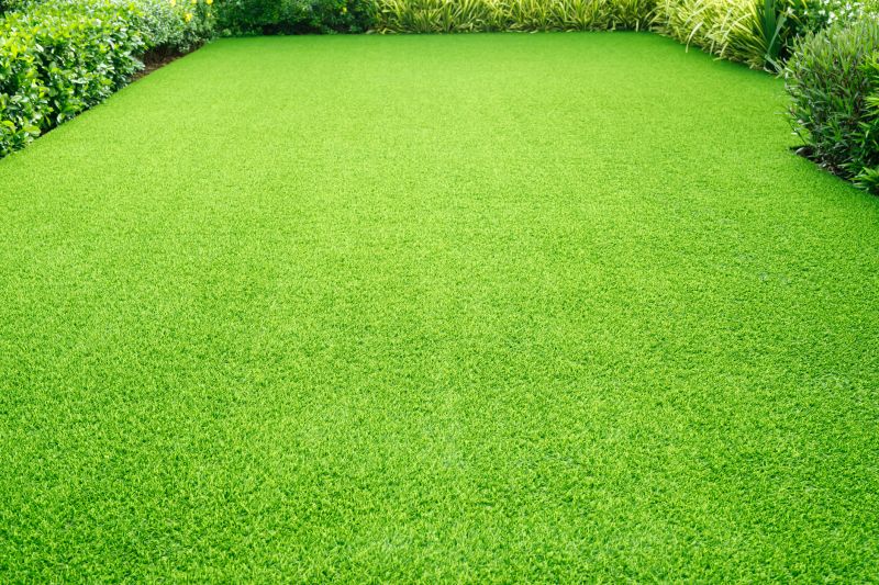 Healthy Lawn Growth